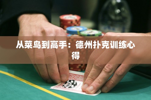 从菜鸟到高手：德州扑克训练心得