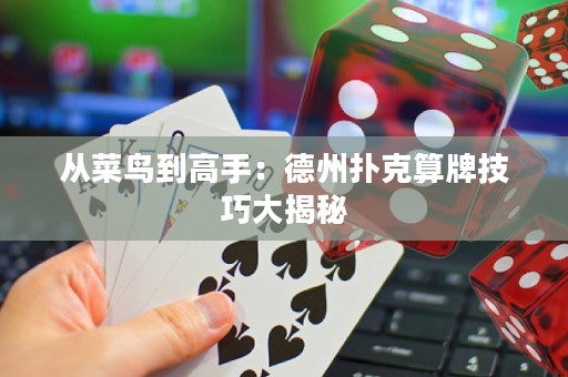 从菜鸟到高手：德州扑克算牌技巧大揭秘