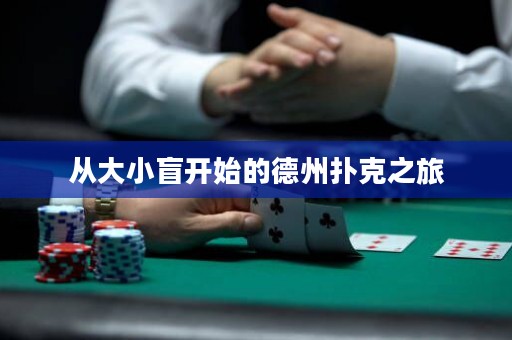 从大小盲开始的德州扑克之旅