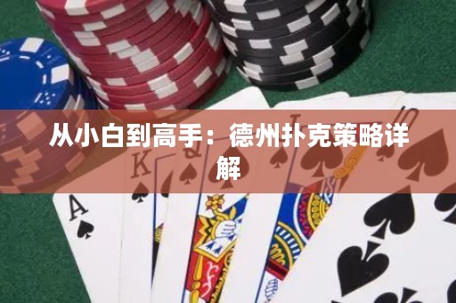 从小白到高手：德州扑克策略详解