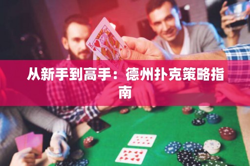 从新手到高手：德州扑克策略指南