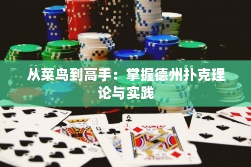 从菜鸟到高手：掌握德州扑克理论与实践