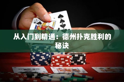 从入门到精通：德州扑克胜利的秘诀