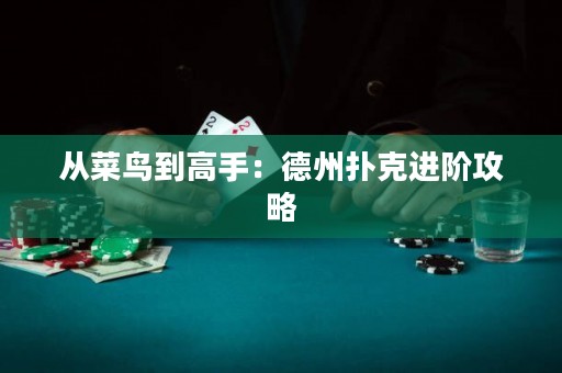 从菜鸟到高手：德州扑克进阶攻略