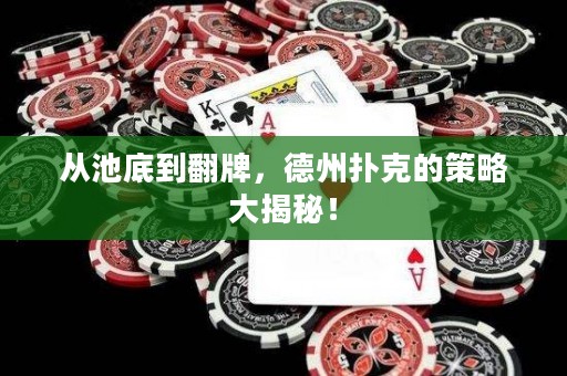 从池底到翻牌，德州扑克的策略大揭秘！