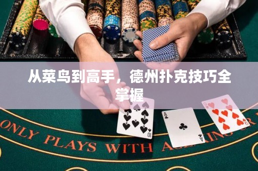 从菜鸟到高手，德州扑克技巧全掌握
