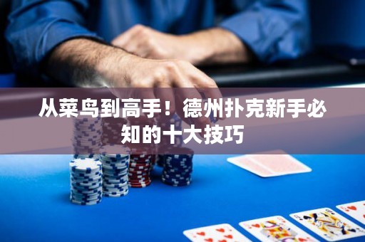从菜鸟到高手！德州扑克新手必知的十大技巧