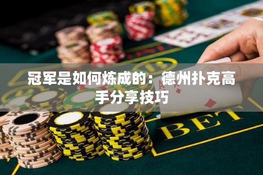 冠军是如何炼成的：德州扑克高手分享技巧