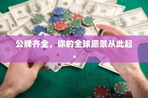 公牌齐全，你的全球愿景从此起。