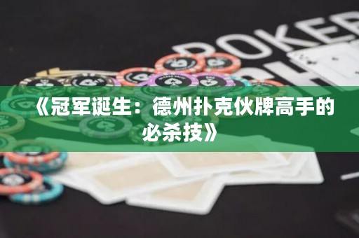 《冠军诞生：德州扑克伙牌高手的必杀技》