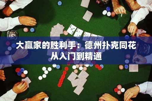 大赢家的胜利手：德州扑克同花从入门到精通