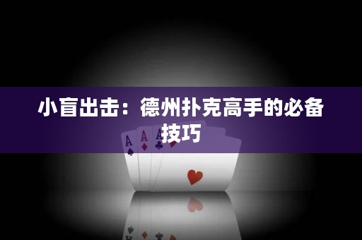 小盲出击：德州扑克高手的必备技巧