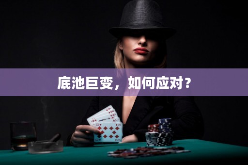 底池巨变，如何应对？