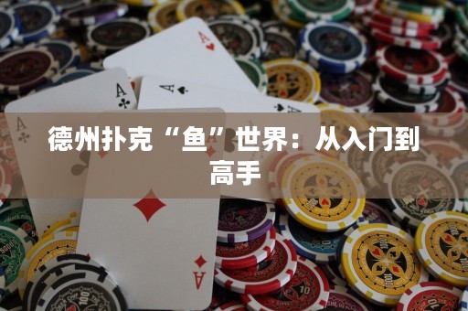 德州扑克“鱼”世界：从入门到高手
