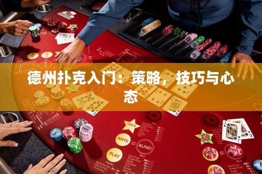 德州扑克入门：策略，技巧与心态