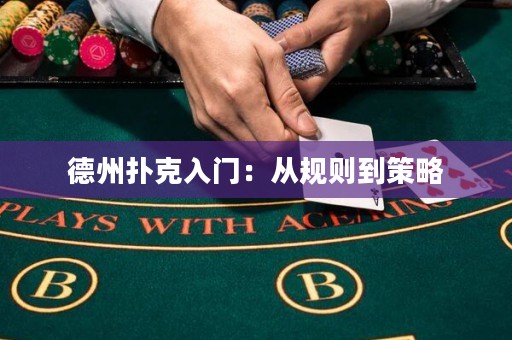 德州扑克入门：从规则到策略