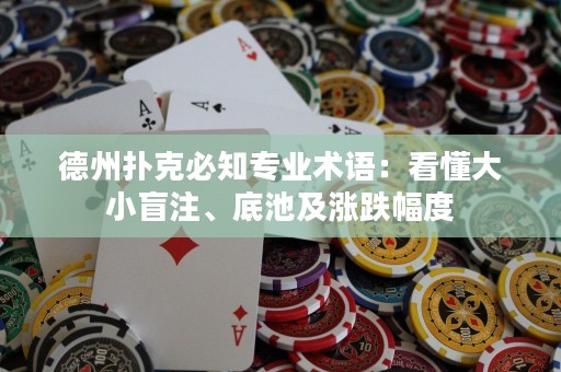德州扑克必知专业术语：看懂大小盲注、底池及涨跌幅度