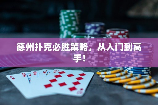 德州扑克必胜策略，从入门到高手！