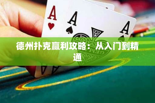 德州扑克赢利攻略：从入门到精通