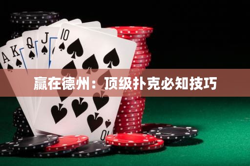 赢在德州：顶级扑克必知技巧
