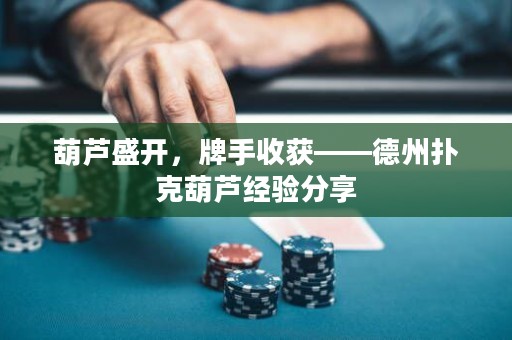 葫芦盛开，牌手收获——德州扑克葫芦经验分享