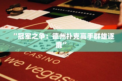 “冠军之争：德州扑克高手群雄逐鹿”