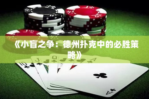 《小盲之争：德州扑克中的必胜策略》