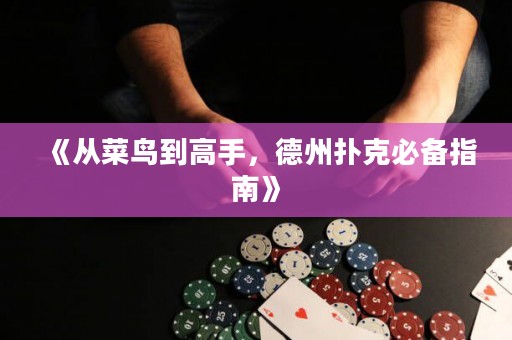 《从菜鸟到高手，德州扑克必备指南》