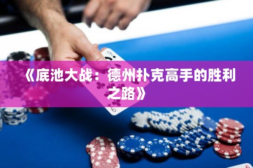 《底池大战：德州扑克高手的胜利之路》