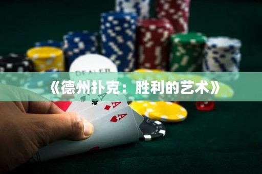 《德州扑克：胜利的艺术》