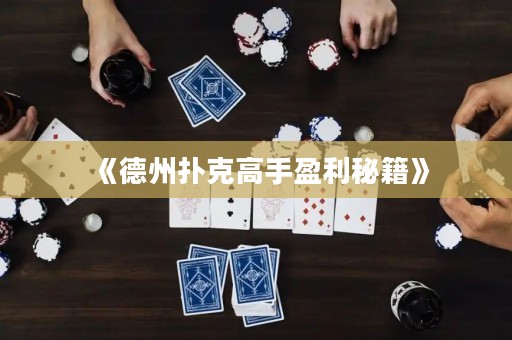 《德州扑克高手盈利秘籍》