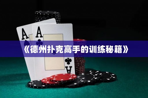 《德州扑克高手的训练秘籍》