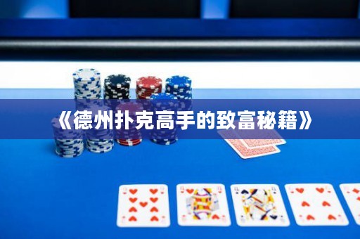 《德州扑克高手的致富秘籍》