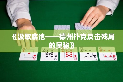 《汲取底池——德州扑克反击残局的奥秘》