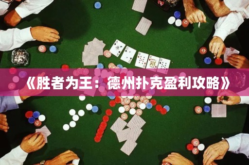 《胜者为王：德州扑克盈利攻略》
