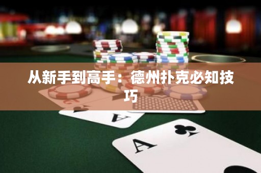 从新手到高手：德州扑克必知技巧