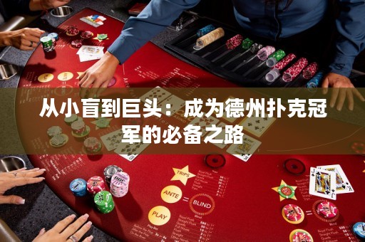 从小盲到巨头：成为德州扑克冠军的必备之路