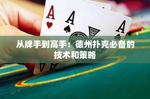 从牌手到高手：德州扑克必备的技术和策略