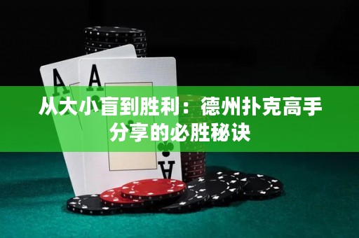 从大小盲到胜利：德州扑克高手分享的必胜秘诀