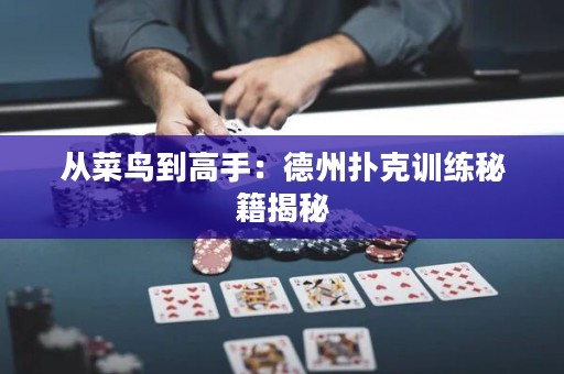 从菜鸟到高手：德州扑克训练秘籍揭秘