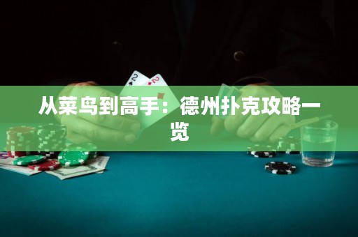 从菜鸟到高手：德州扑克攻略一览