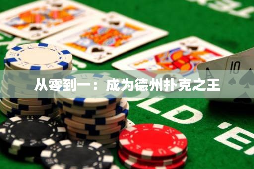 从零到一：成为德州扑克之王