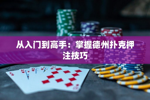 从入门到高手：掌握德州扑克押注技巧