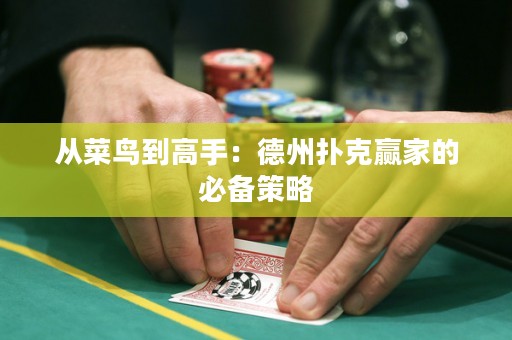 从菜鸟到高手：德州扑克赢家的必备策略