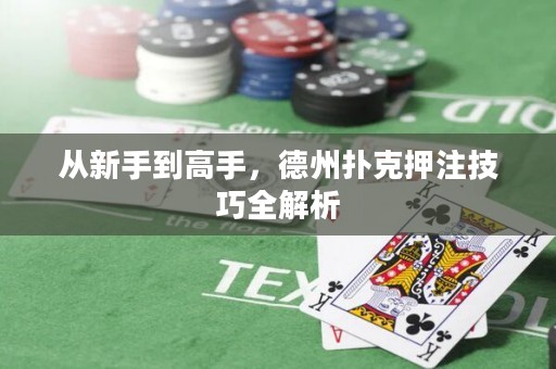 从新手到高手，德州扑克押注技巧全解析