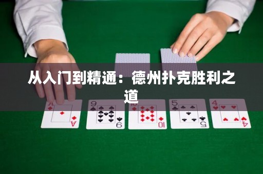 从入门到精通：德州扑克胜利之道