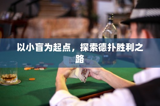以小盲为起点，探索德扑胜利之路