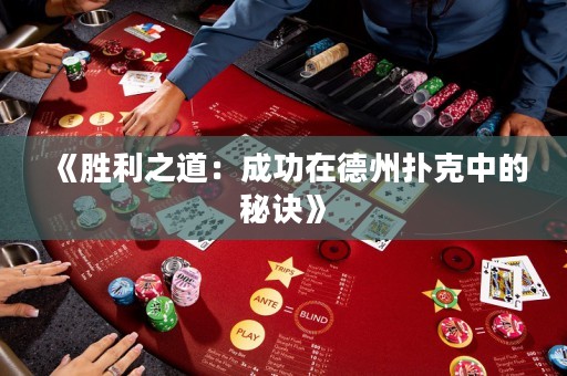 《胜利之道：成功在德州扑克中的秘诀》