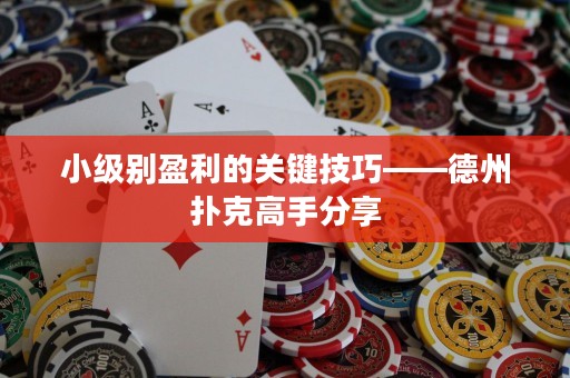 小级别盈利的关键技巧——德州扑克高手分享