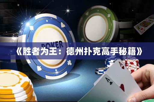 《胜者为王：德州扑克高手秘籍》